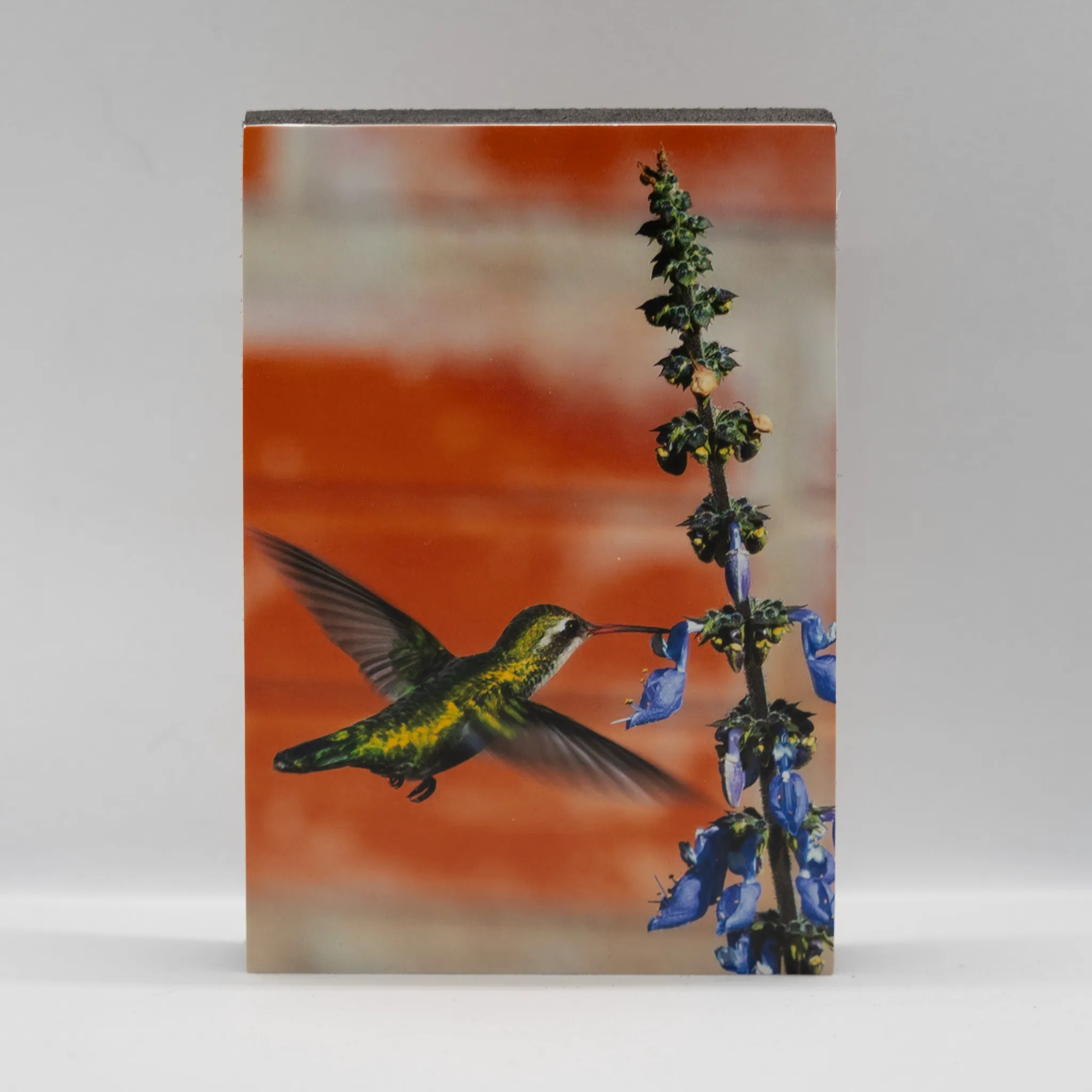 Colibrí bebiendo néctar de flor verde